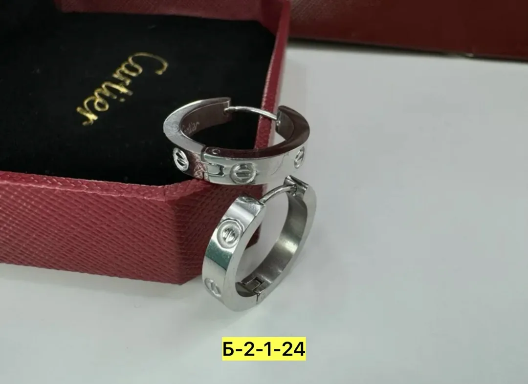 Серьги из нержавеющей стали от известного бренда — фото 2
