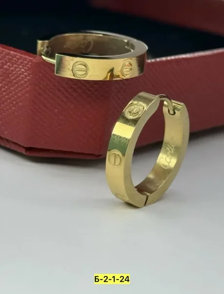 Серьги из нержавеющей стали от известного бренда — фото 4