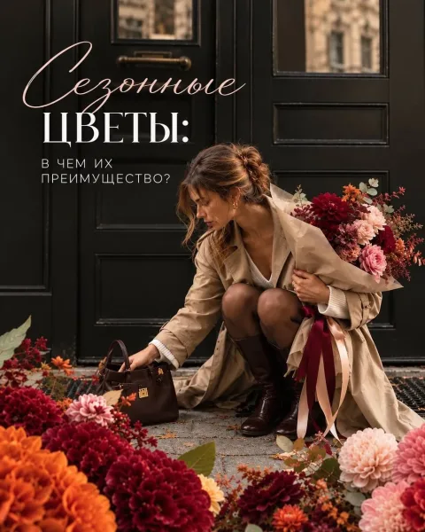 Сезонные цветы в чем их преимущество