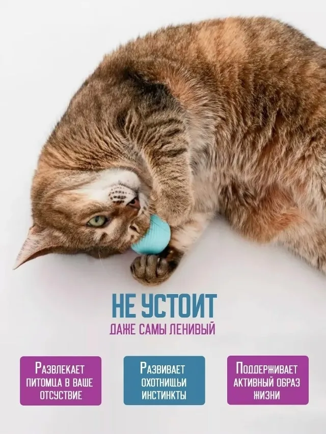 Игрушка для кошек и собак не имеет запаха, она станет лучшим другом для вашего домашнего животного - как для собаки так — фото 3
