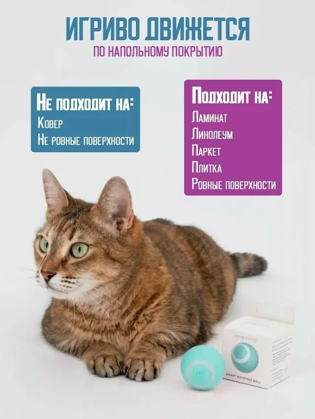 Игрушка для кошек и собак не имеет запаха, она станет лучшим другом для вашего домашнего животного - как для собаки так — фото 5