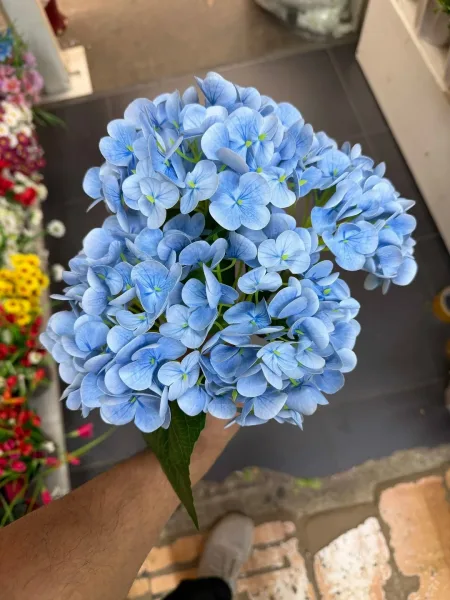 Клатч Высота — фото 1