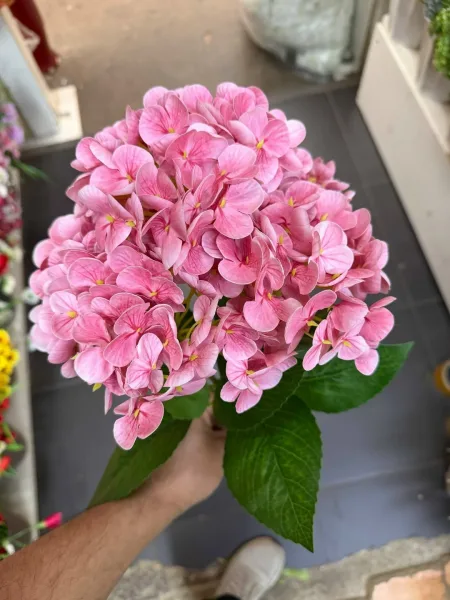 Клатч Высота — фото 4