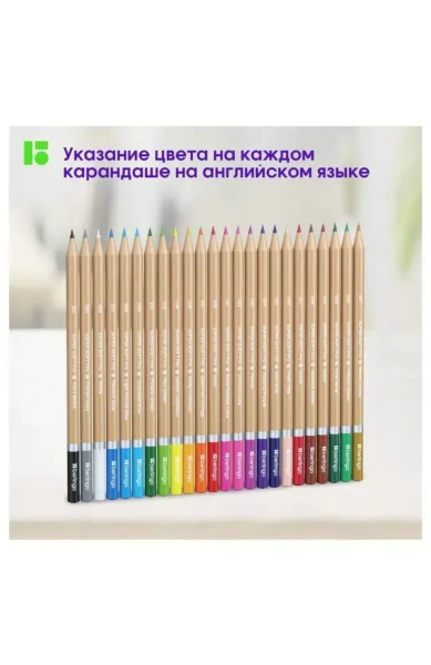 Набор из 12 водорастворимых карандашей с твердостью 4B — фото 5