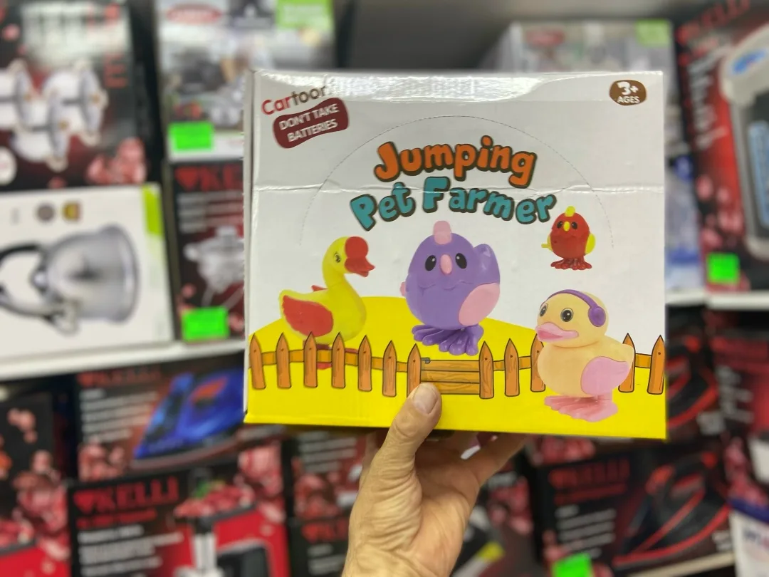 Игрушка заводная для малышей Птичка — фото 3