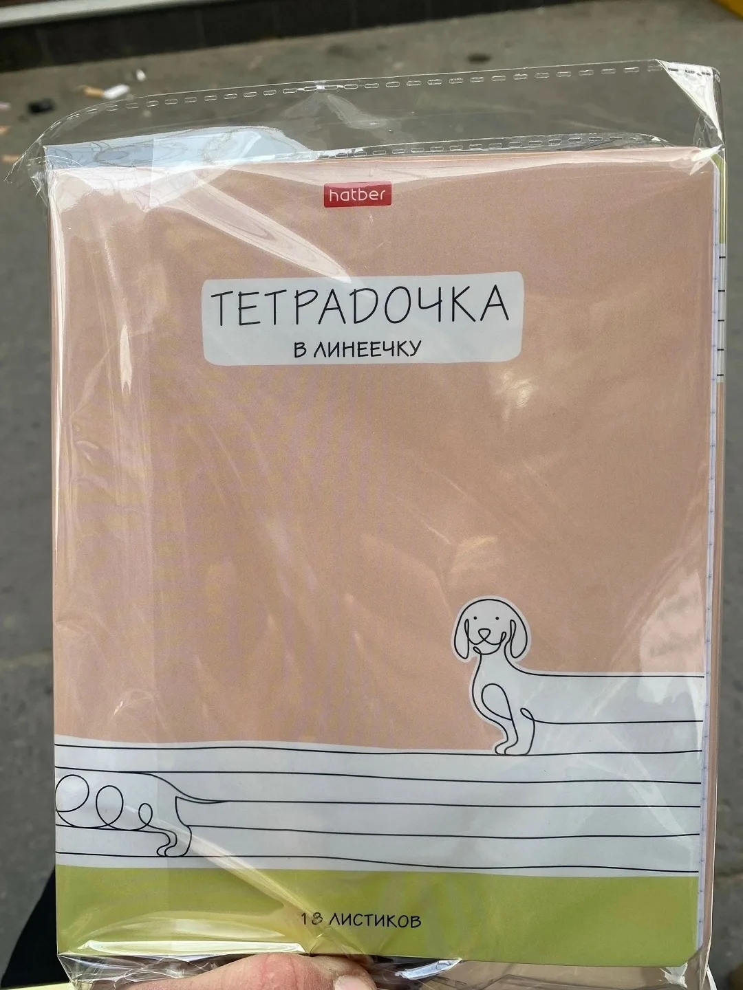 Тетрадь 18листов в клетка — фото 1