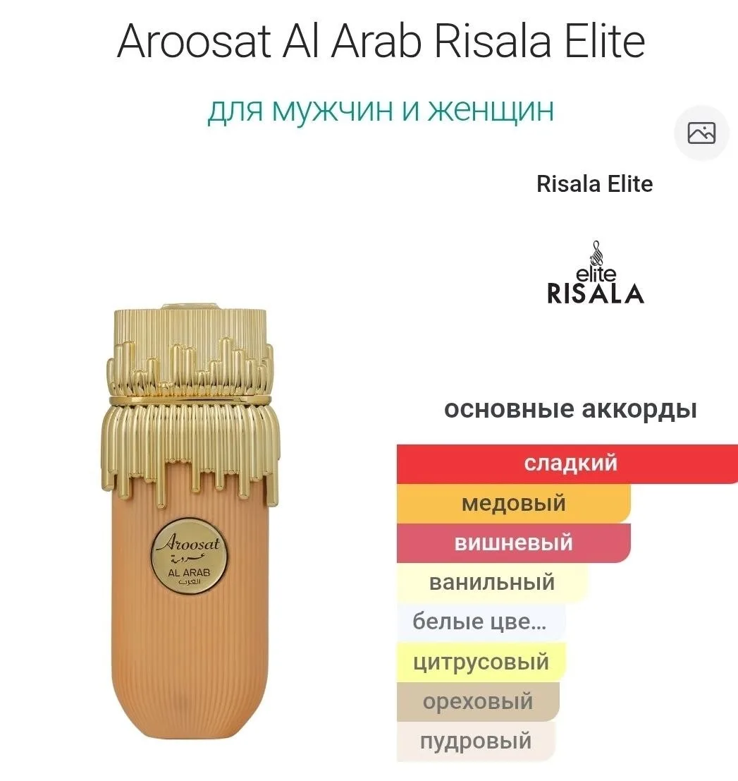 Сумка Aroosat Al Arab Risala — фото 2