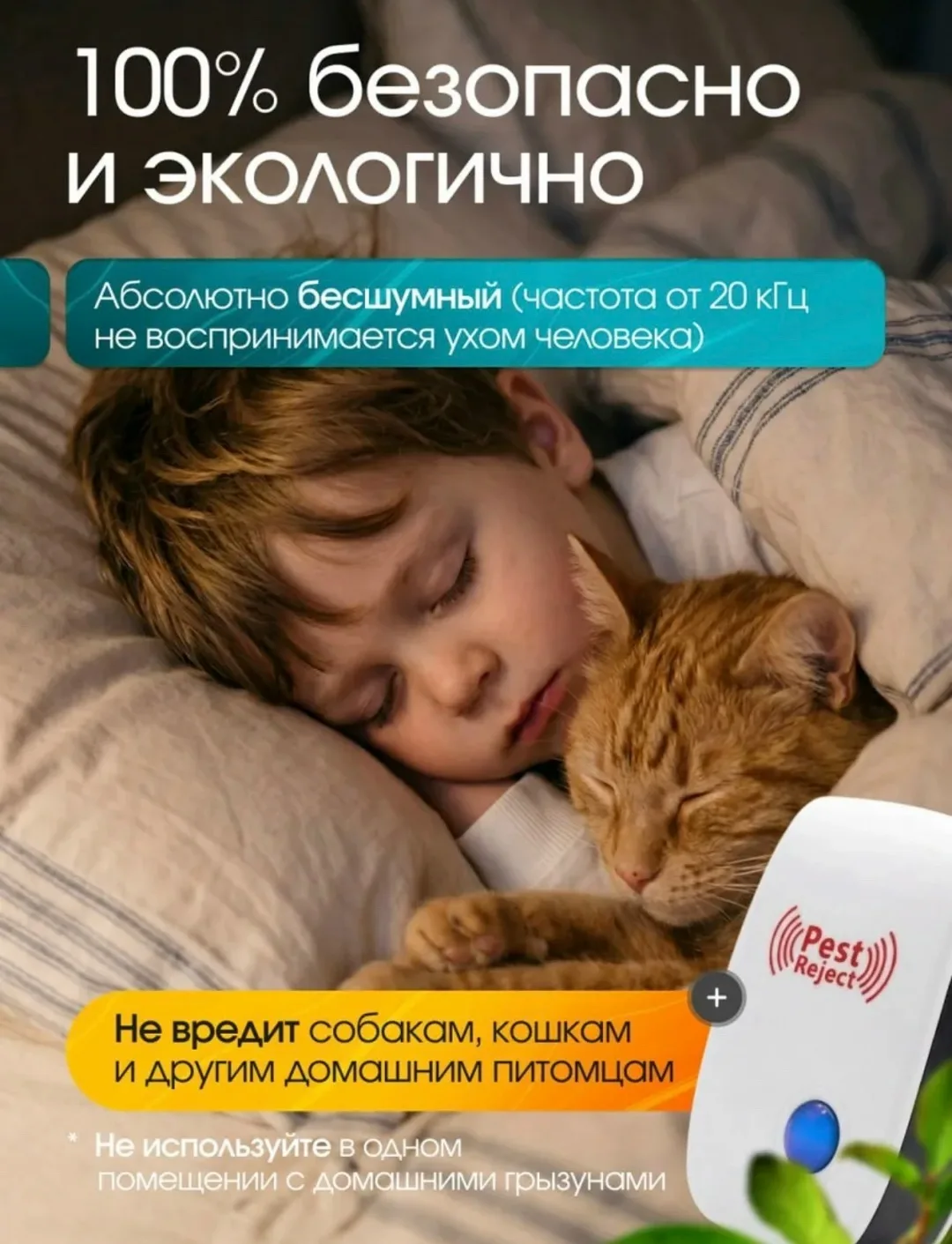 Тапки — фото 4