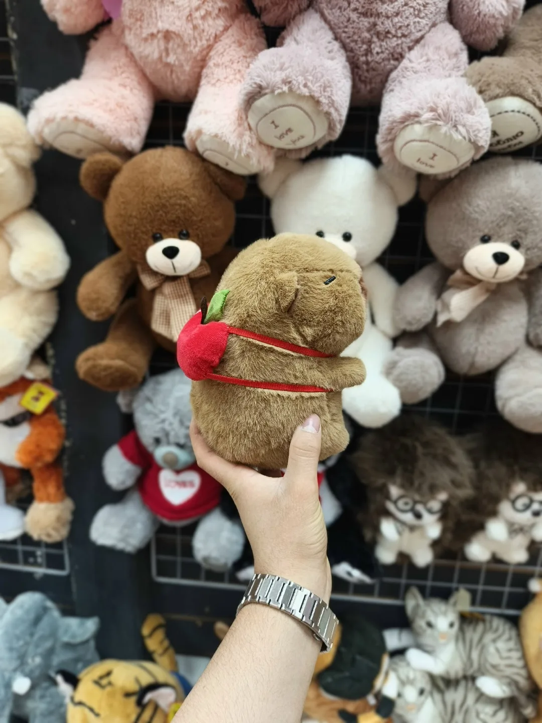 Капибара хороший качество — фото 2