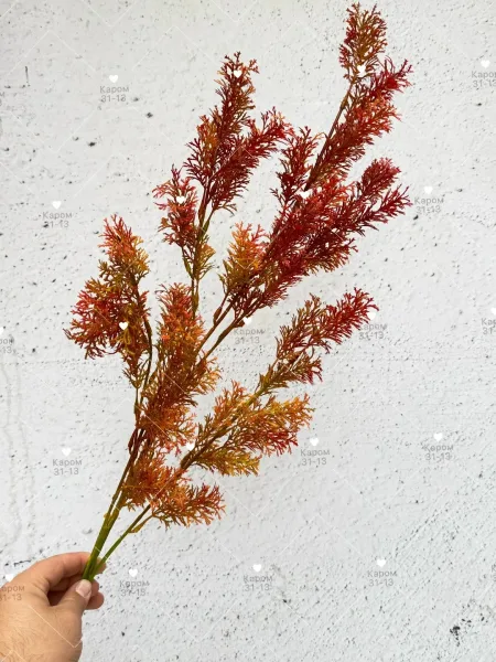 Высота — фото 1
