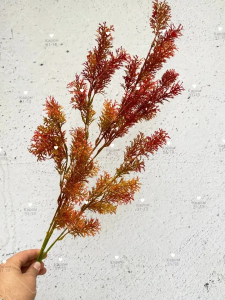 Высота — фото 2
