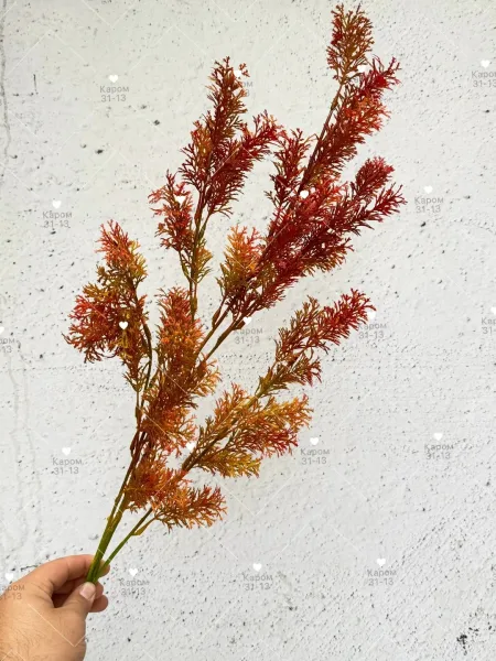 Высота — фото 3