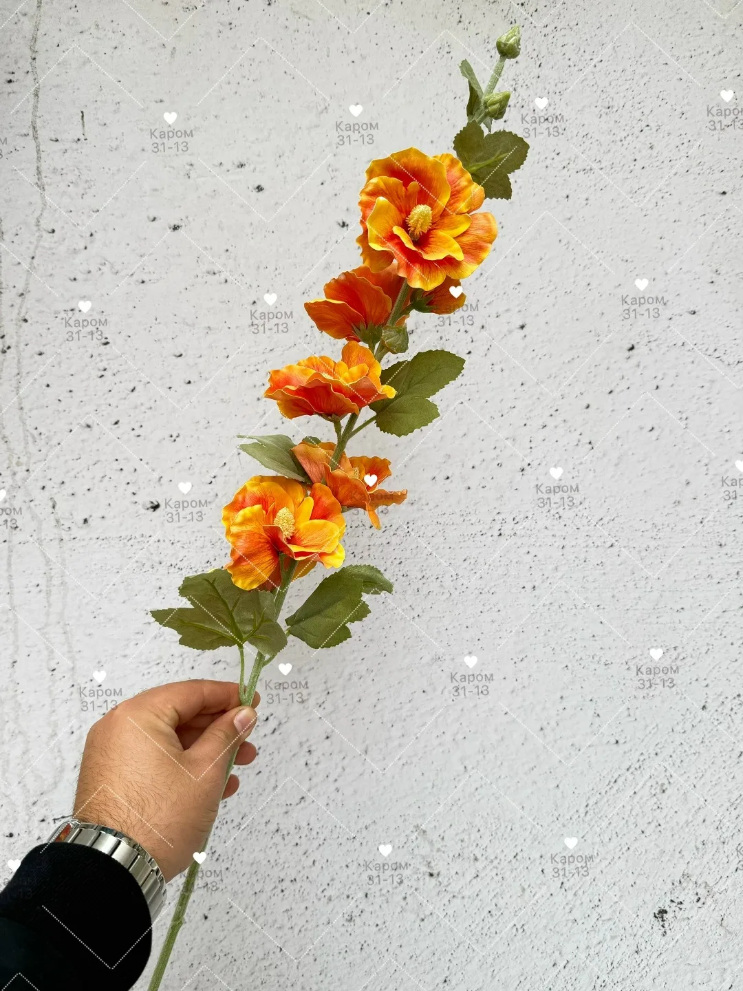 Высота — фото 1