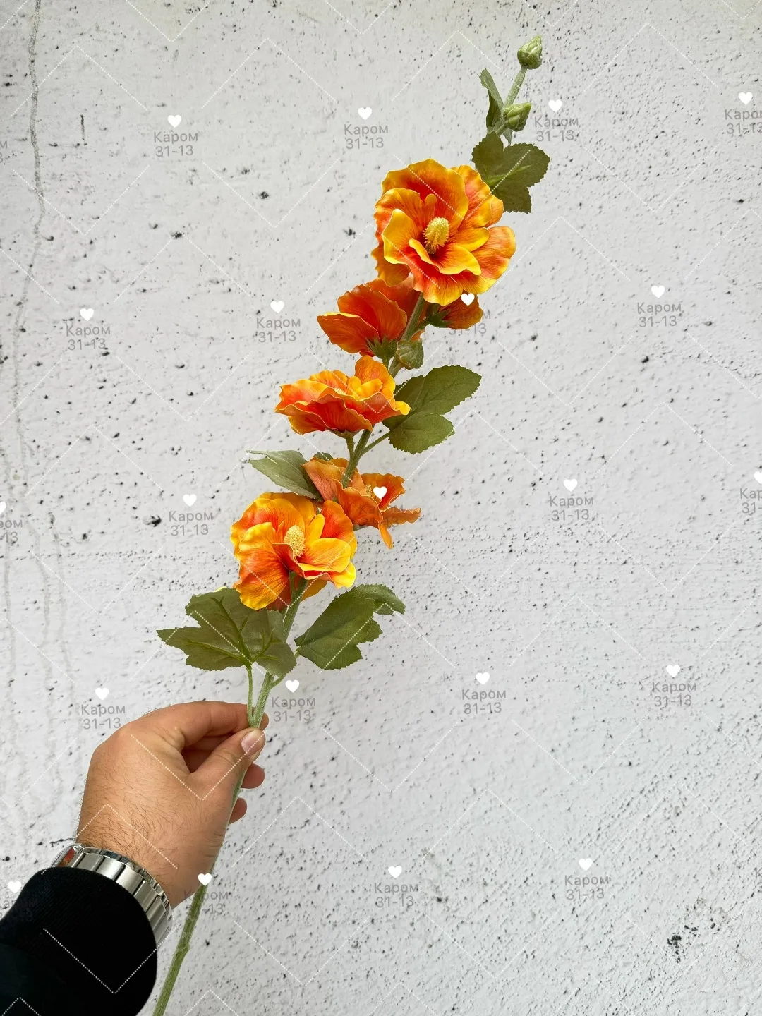 Высота — фото 2