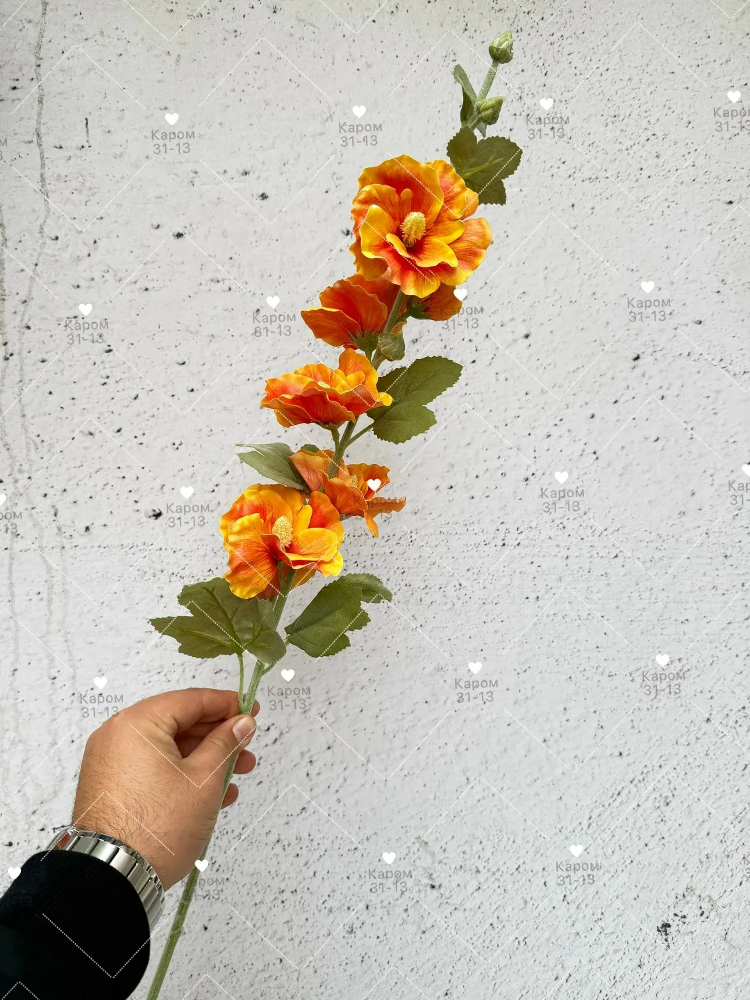 Высота — фото 3