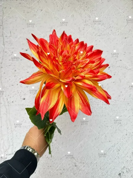 Высота — фото 1