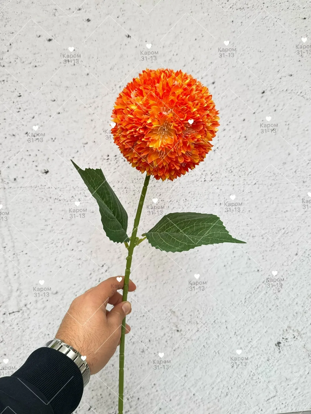 Высота — фото 1