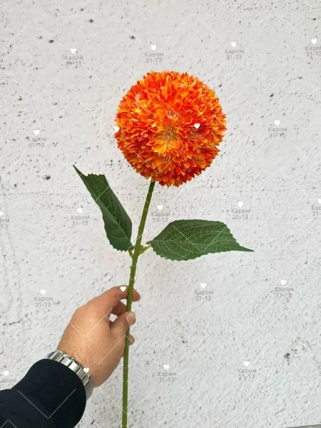 Высота — фото 1