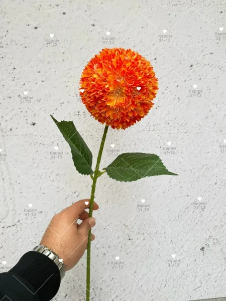 Высота — фото 2
