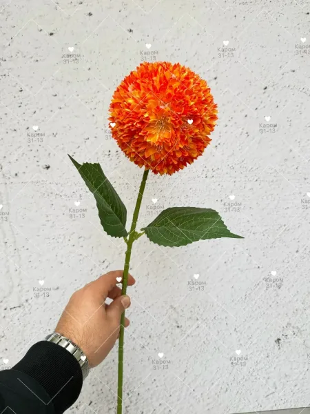 Высота — фото 5