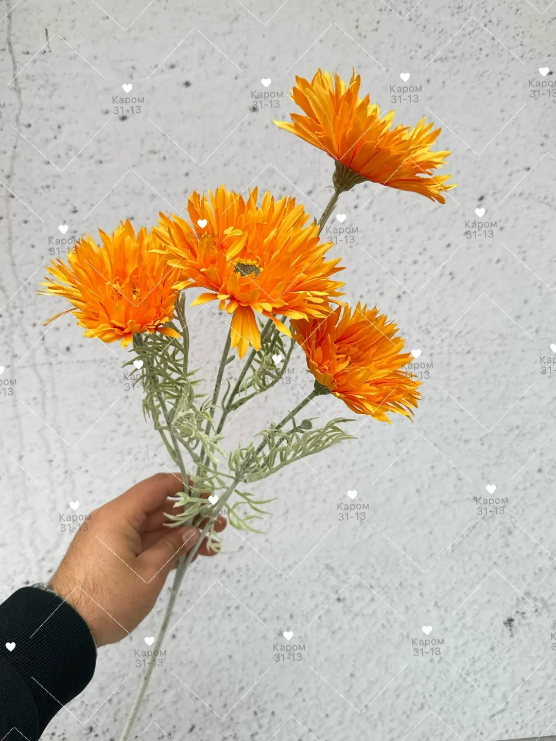 Высота — фото 1
