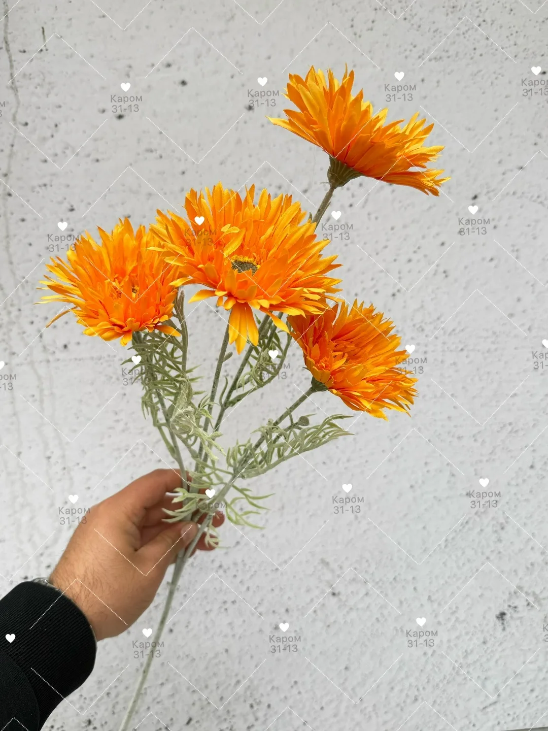 Высота — фото 2