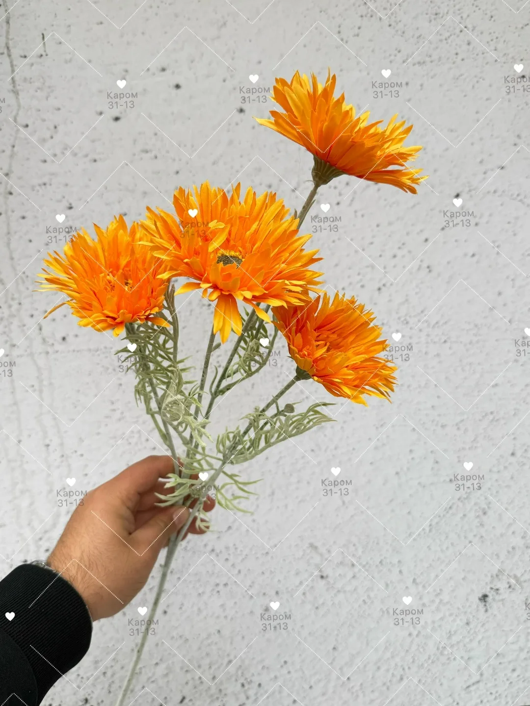 Высота — фото 3