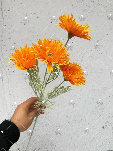 Высота — фото 2
