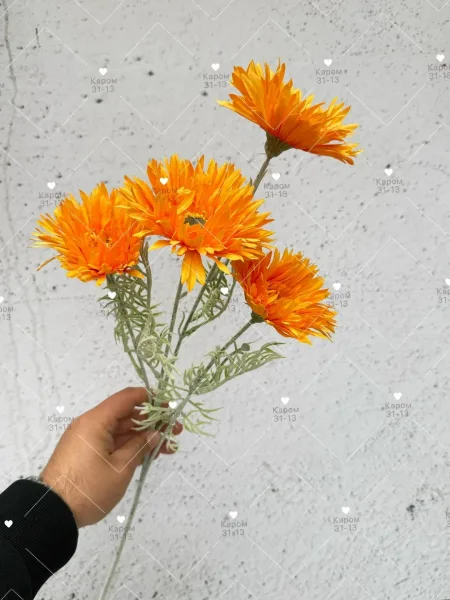 Высота — фото 3