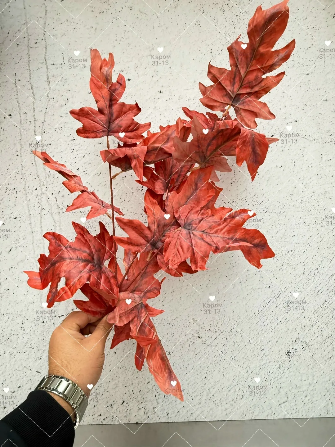 Высота — фото 1