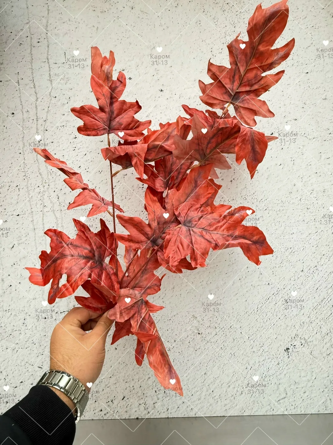 Высота — фото 2