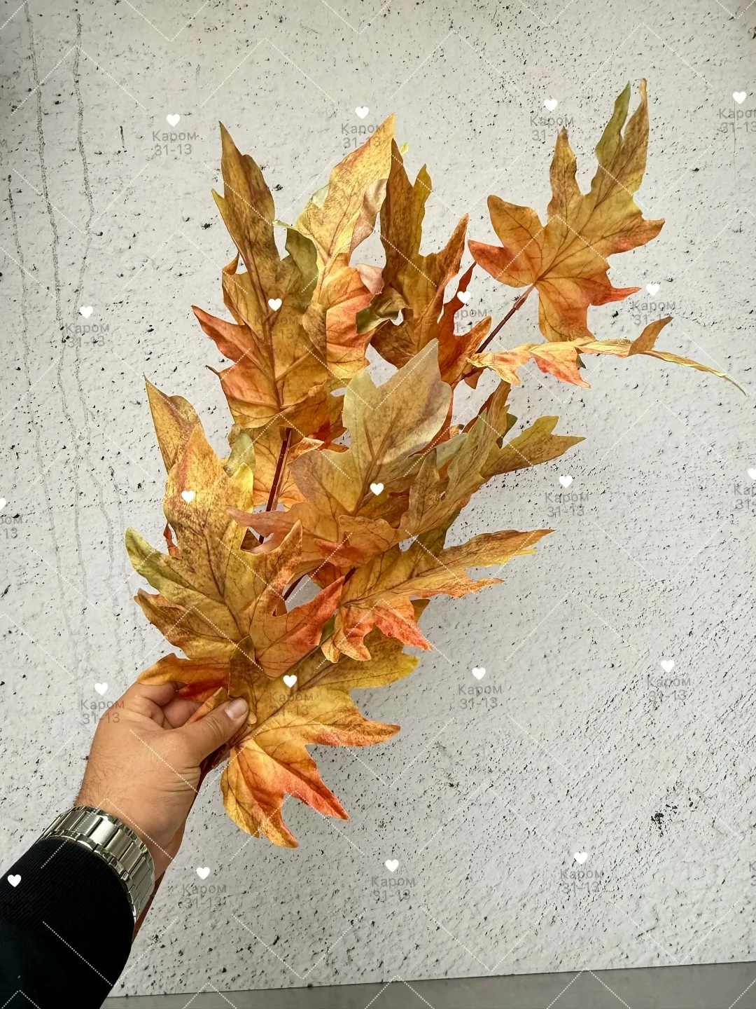 Высота — фото 2