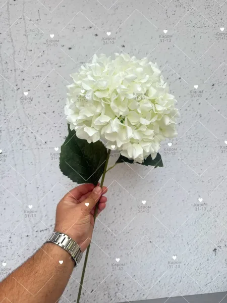 Клатч Высота — фото 1