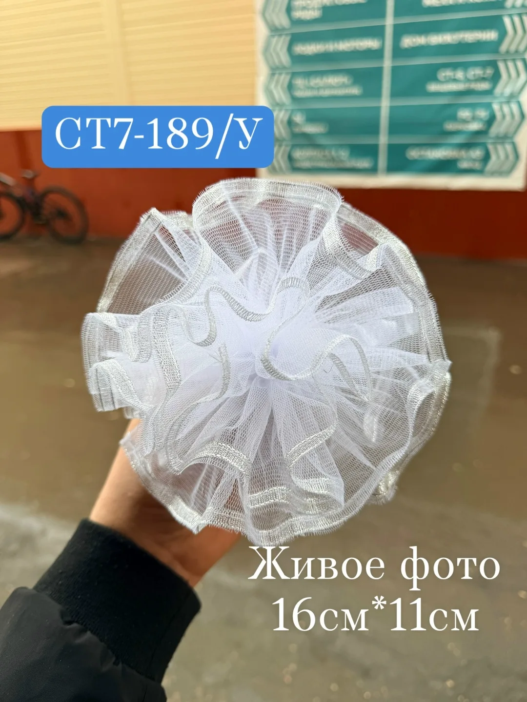 Пластиковые банки для школьных принадлежностей, объемом 16 — фото 2