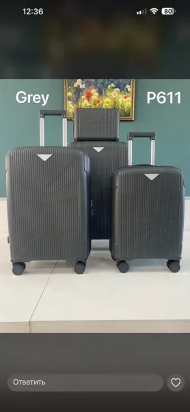 Чемоданы из полипропилена — фото 83