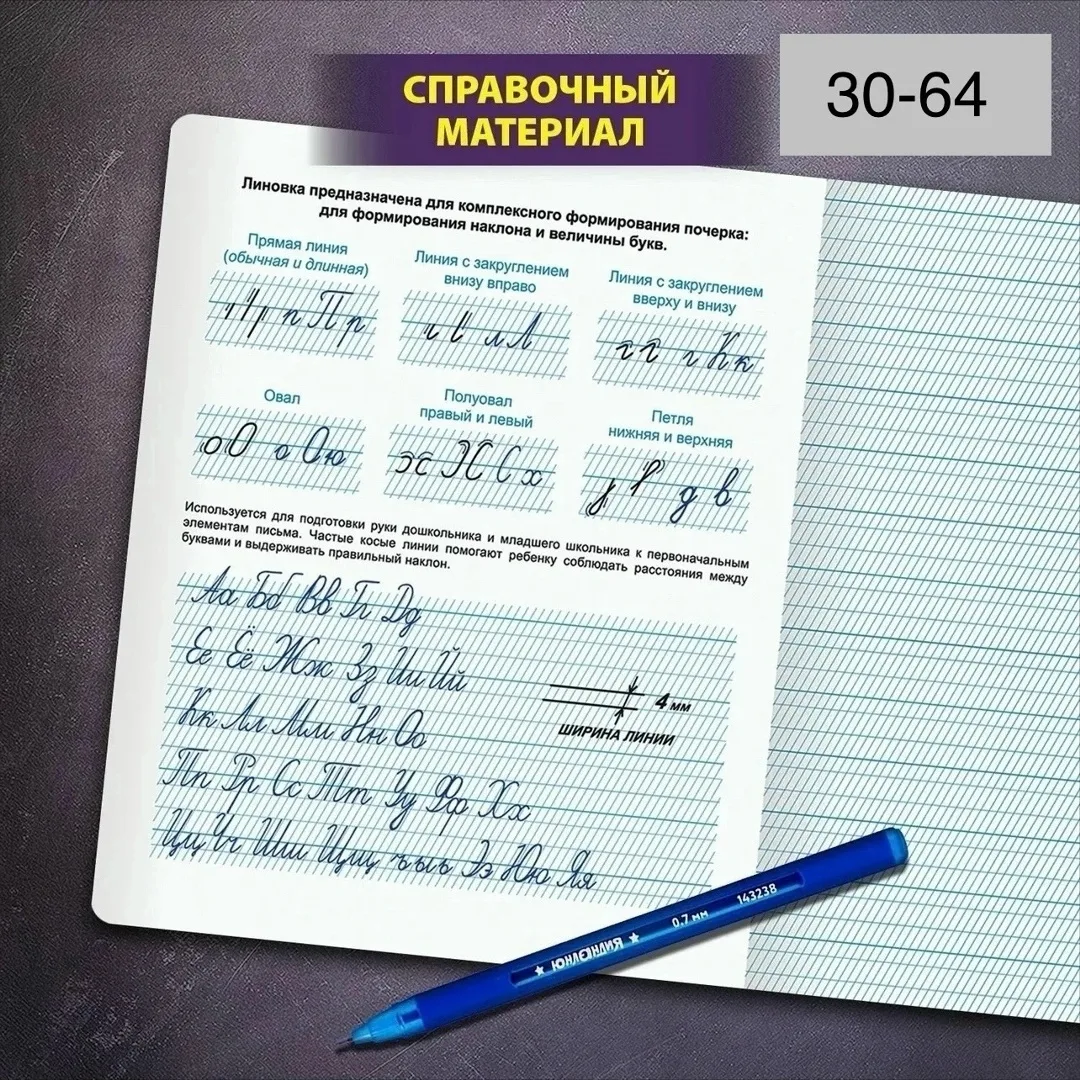 Тетрадь 12 листов в частую косую линейку, А5 — фото 2