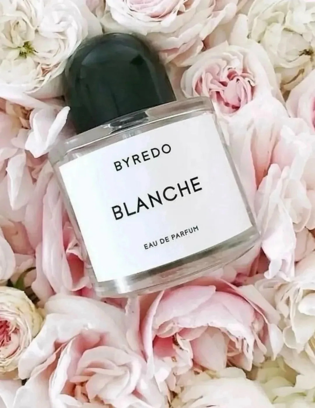 Блузка Byredo Blanch — фото 1
