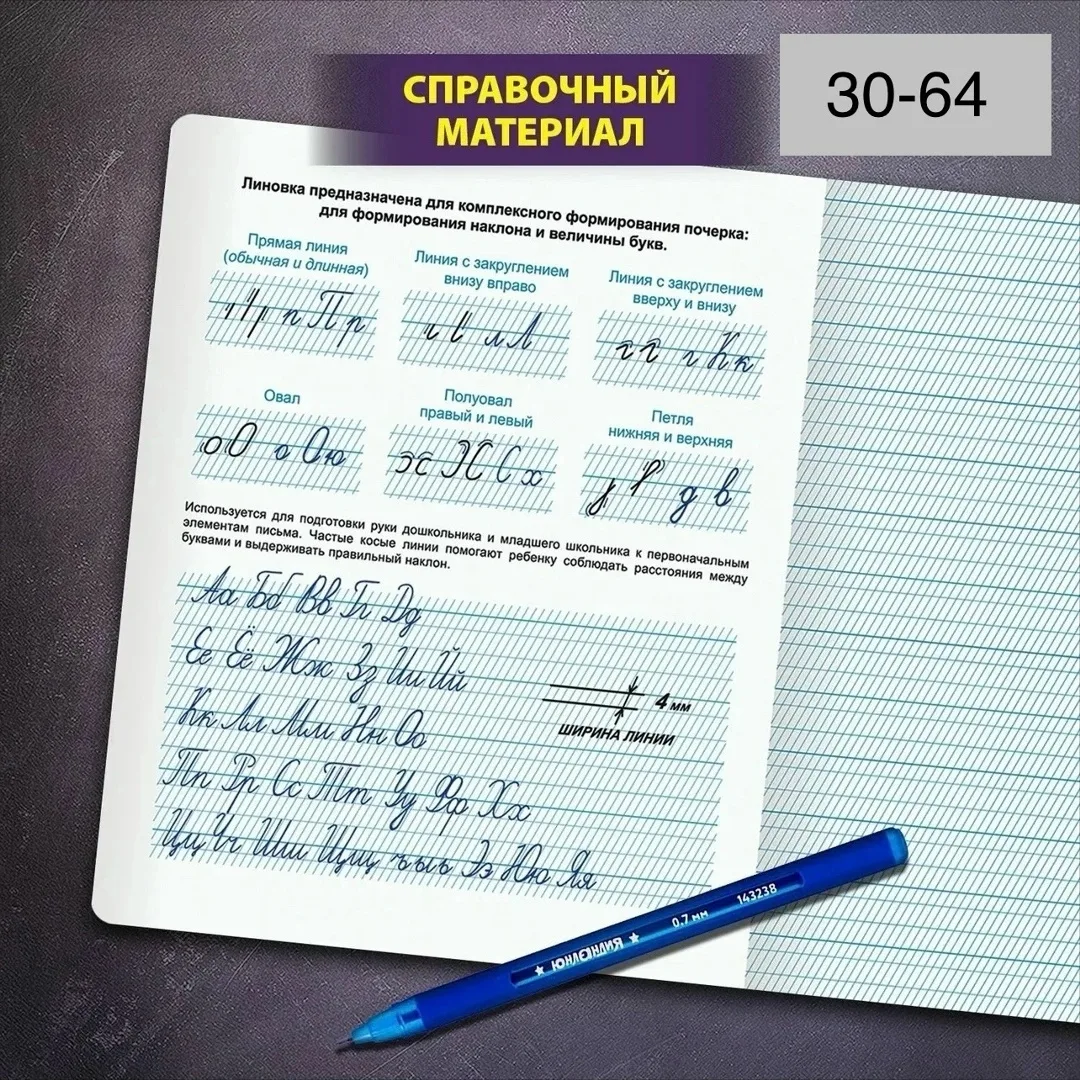 Тетрадь 12 листов в частую косую линейку, А5 — фото 2