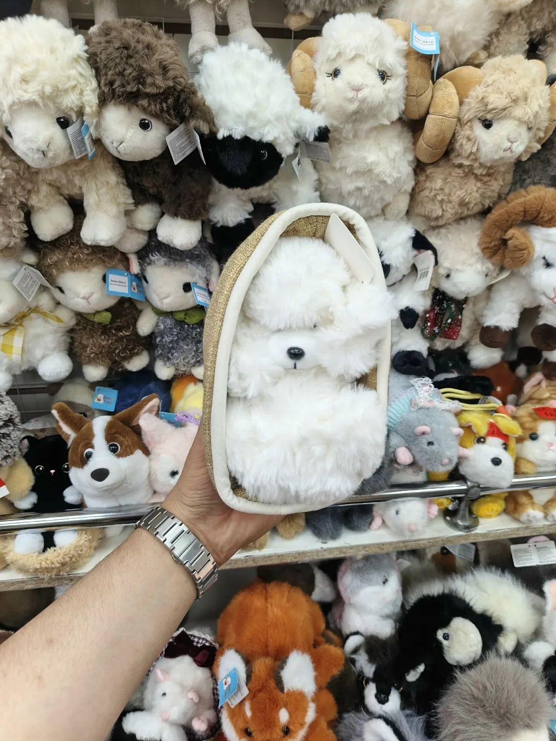 Собака и кошка в корзине — фото 2