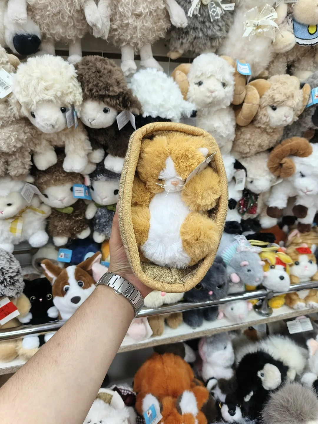 Собака и кошка в корзине — фото 3