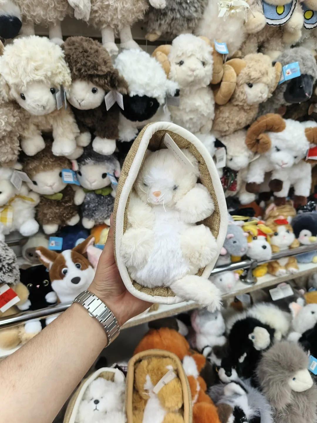 Собака и кошка в корзине — фото 4