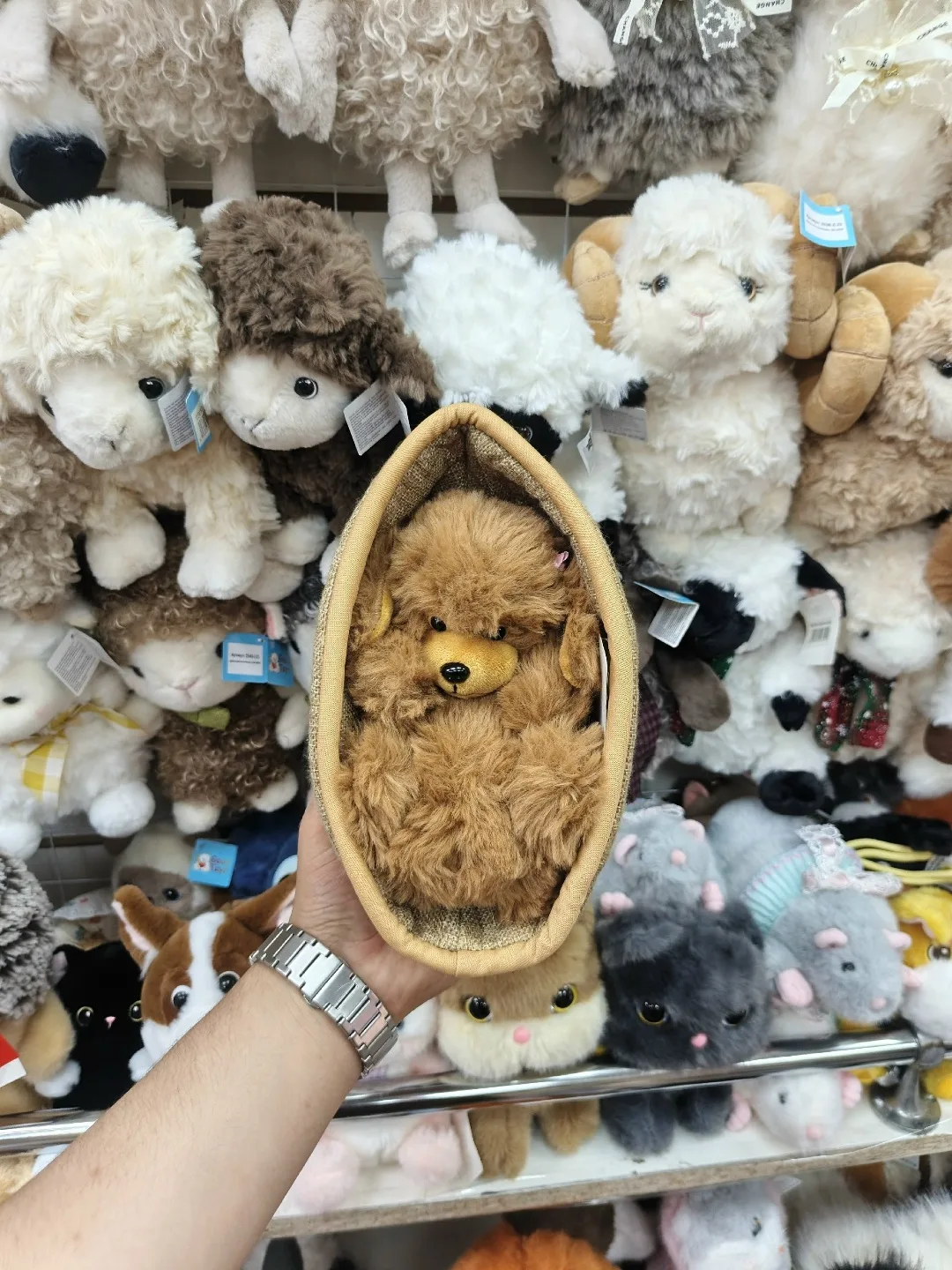 Собака и кошка в корзине — фото 6