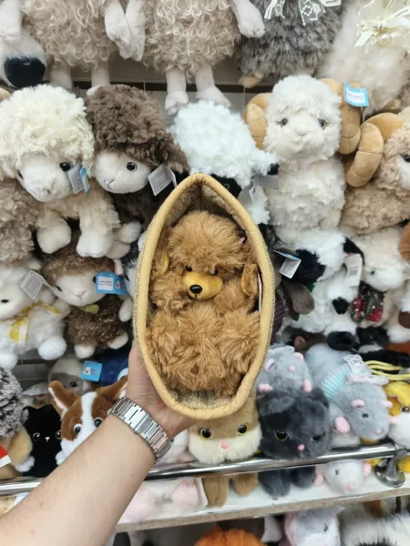 Собака и кошка в корзине — фото 1