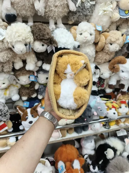 Собака и кошка в корзине — фото 3