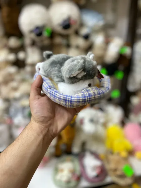 Мягкая игрушка в пастельных тонах с шариком — идеальный подарок — фото 1