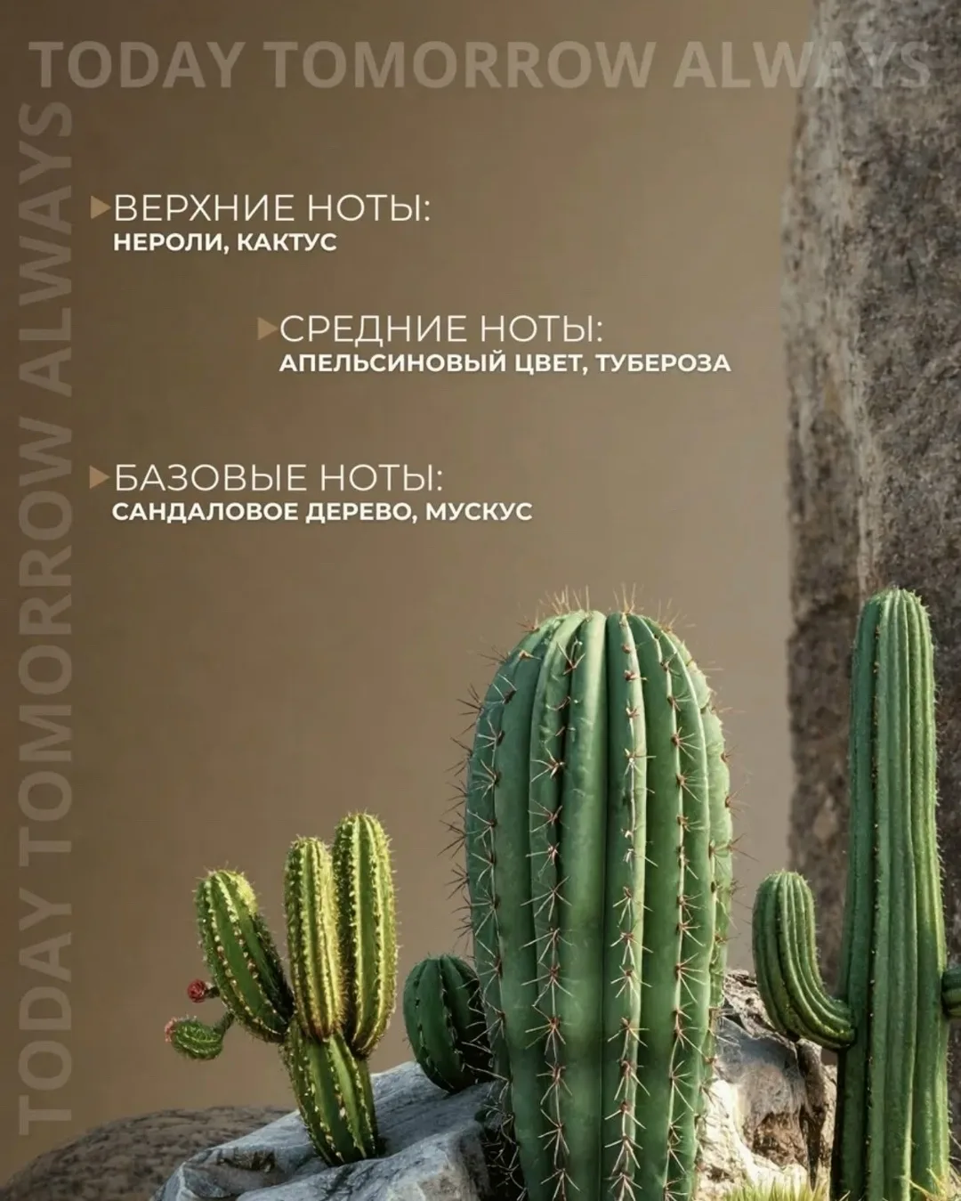 Блузка ПАРФЮМЕРНАЯ ВОДА — фото 3