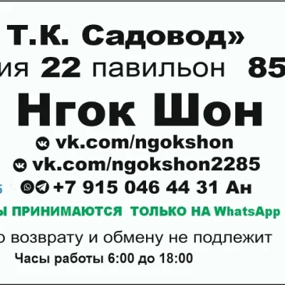 Женская одежда - Садовод 22-85
