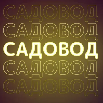 РЫНОК САДОВОД ПОСТАВЩИКИ