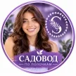 Света Лисс Парсер
