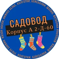Amir Rozikov